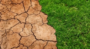 spękana ziemia i brak roślinności wywołany suszą
