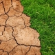 spękana ziemia i brak roślinności wywołany suszą